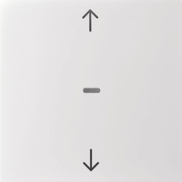80961282