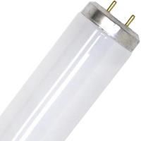SPL061774
