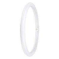 LEDV4042584