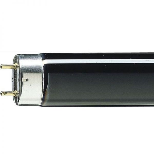 PHI951113