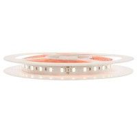 541-FS-017-004