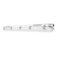 LEDV5300781