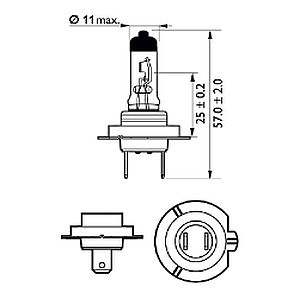 PHI361926