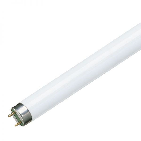 PHI702807