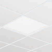 497-ELP412016MP.3684L