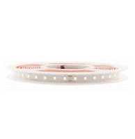 541-FS-101-001