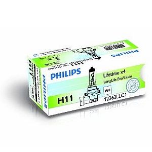 PHI361940