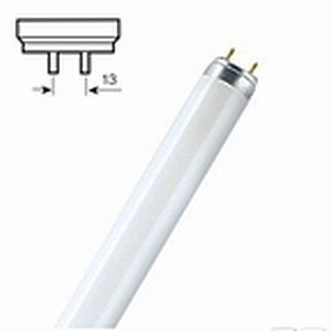 PHI544988
