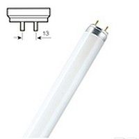 SYL02564