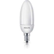 PHI405261